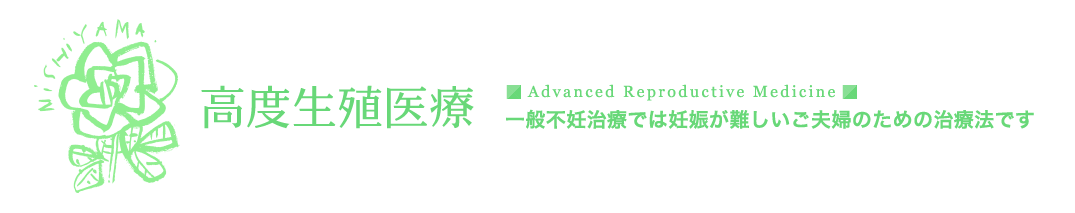 凍結融解胚移植