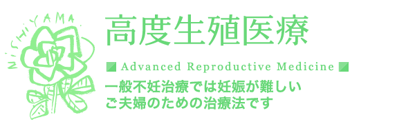 凍結融解胚移植